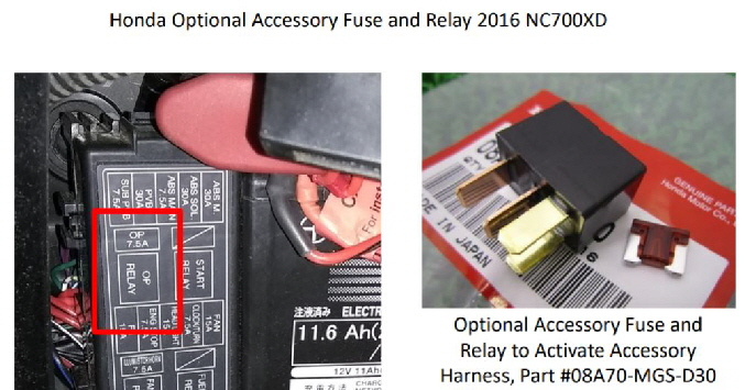 relay and fuse1